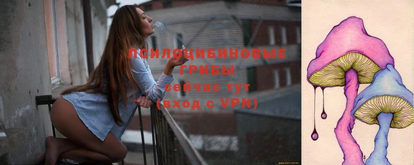 spice Армянск