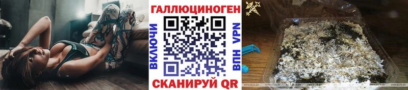 Псилоцибиновые грибы Psilocybe  купить  сайты  мега tor  Тимашёвск 